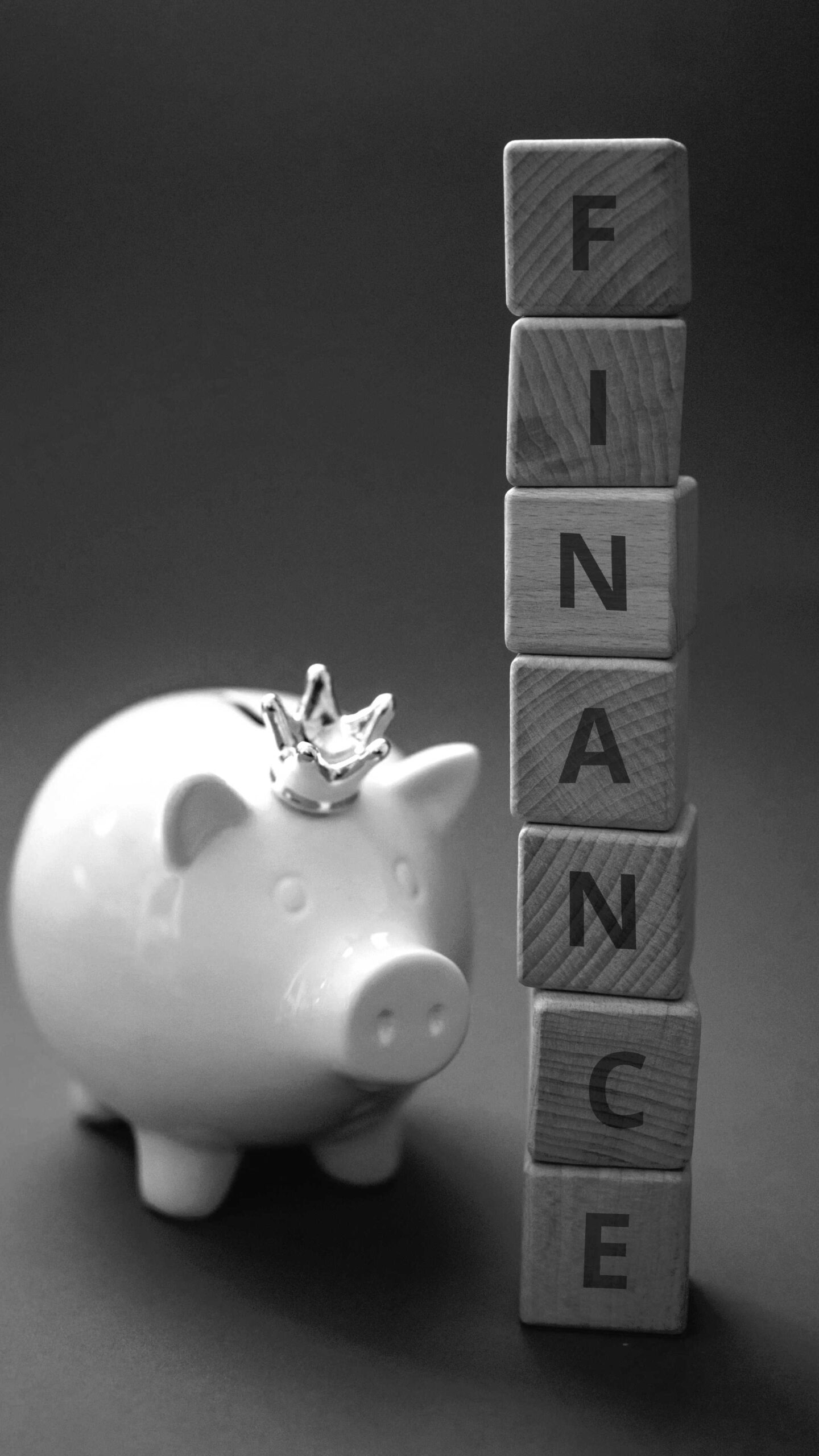 (Finances) (Affinity) a piggy bank standing next to soime buildi